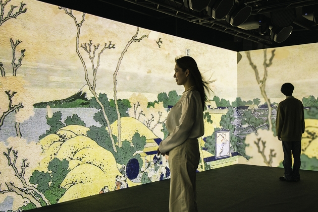 Exhibition artwork display