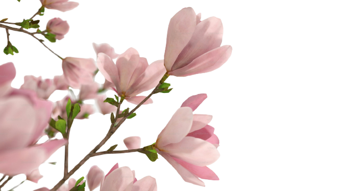 Abstract background texture