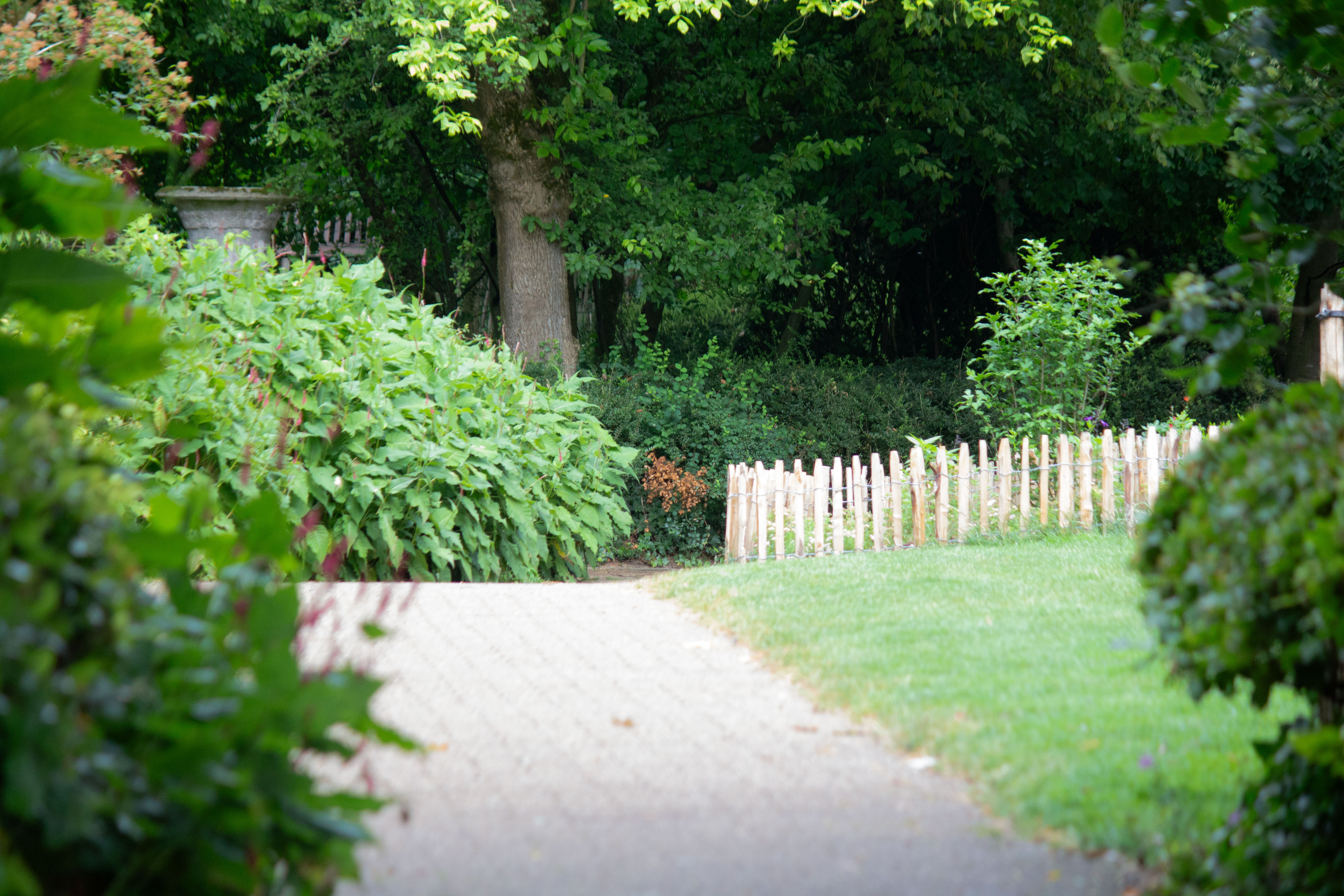 img-parc